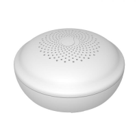 Wasseralarm GS156 Funk/ Wifi