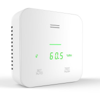 CO2-Messgerät GS241
